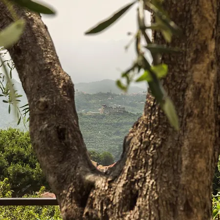 Serena * フィナーレ・リーグレ